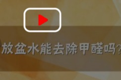 除甲醛新聞資訊-甲醛常識科普-除甲醛小知識 除甲醛百科,裝修除甲醛知識問答